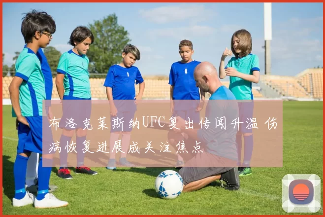布洛克莱斯纳UFC复出传闻升温 伤病恢复进展成关注焦点