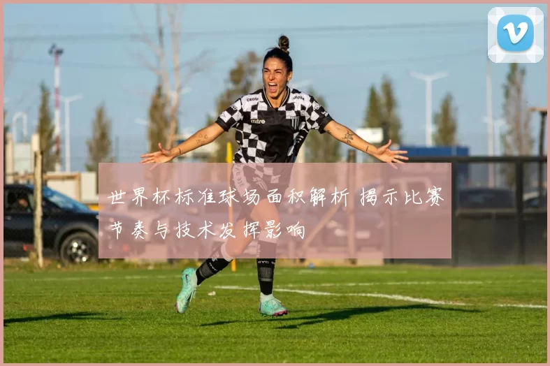 世界杯标准球场面积解析 揭示比赛节奏与技术发挥影响